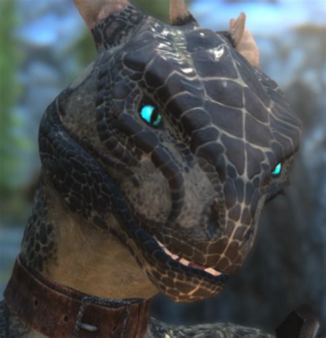 I Want A Sexy Argonian Head Mesh Request And Find Skyrim Non Adult