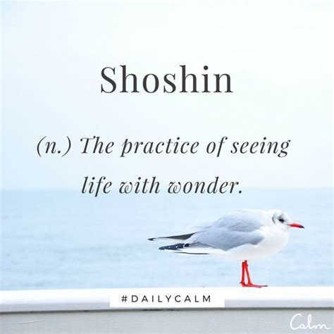 Shoshin Beginners Mind