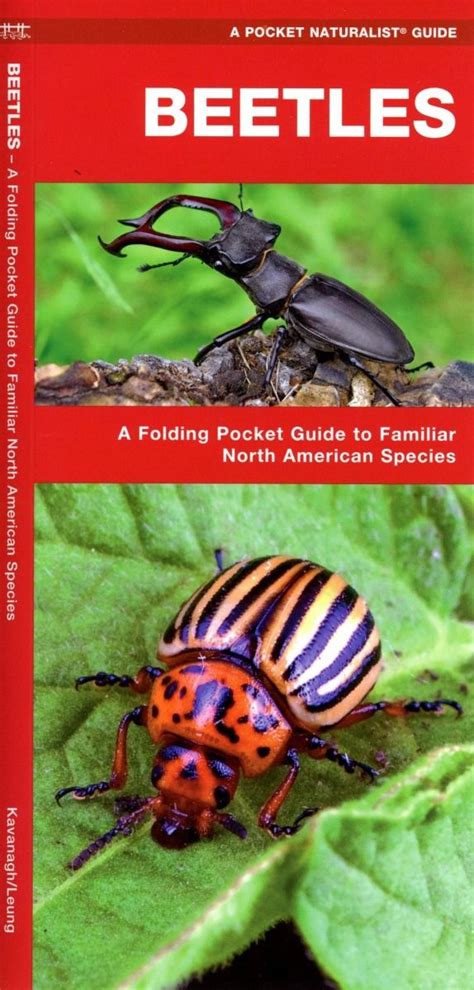 beetles of north america pocket naturalist® guide