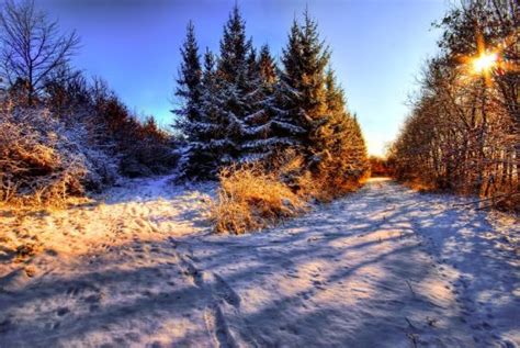 Beauty Of Winter Favourites By Lillianevill On Deviantart