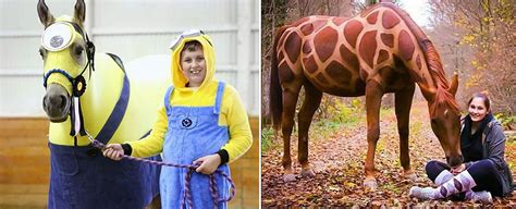 12 Jaw Dropping Horse Costumes You Have To See Agdaily