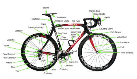 Bicycle Buying Guide For Beginners Road Bicycles