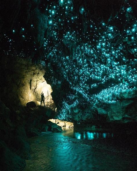 We love welcoming visitors from across new zealand and the world you are welcome to bring a small pocket sized camera or phone to capture some of new zealand's finest scenery. Glow Worm Cave in Waitomo, New Zealand