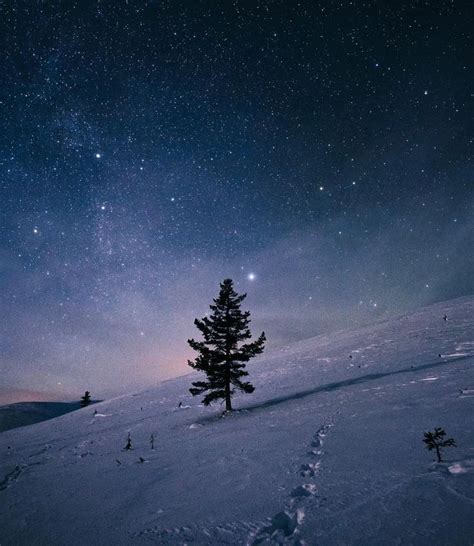 🇫🇮 Starry Winter Night Pallas Yllästunturi National Park Finland By