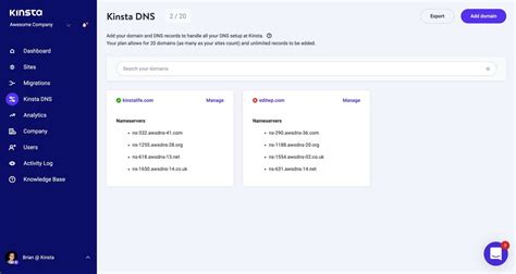 How To Add DNS Records In Kinsta DNS