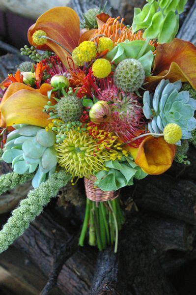 Ball (or pompon) dahlias, cactus dahlias, and waterlily dahlias are a few other options. This unique bouquet is composed of succulents, proteas ...