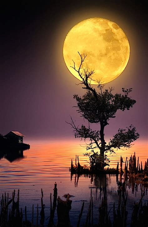 Pin By Johnkiew On Moonlight Moon Photography Beautiful Moon Nature