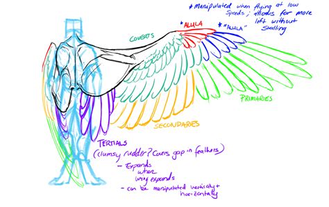 Https://tommynaija.com/draw/how To Draw A Person With Wings