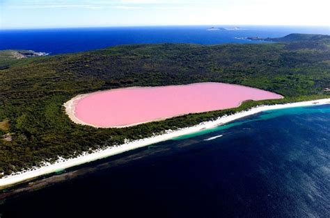 Langkah 1 isikan borang dengan maklumat tepat. Tasik Berwarna Merah Jambu Yang Menakjubkan di Kepulauan ...