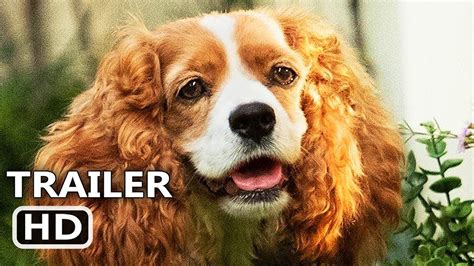 Lady And The Tramp Trailer 2019 Disney Live Action Movie Youtube