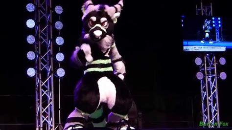 Anthrocon Fursuit Dance Competition Tayerr Youtube