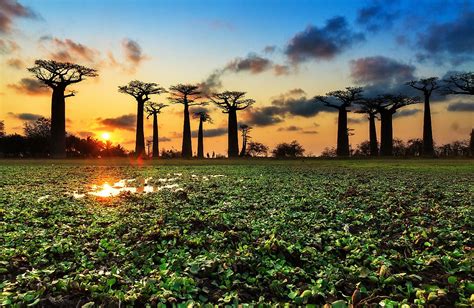 10 Reasons Madagascar Is One Of The Most Fascinating Destinations In