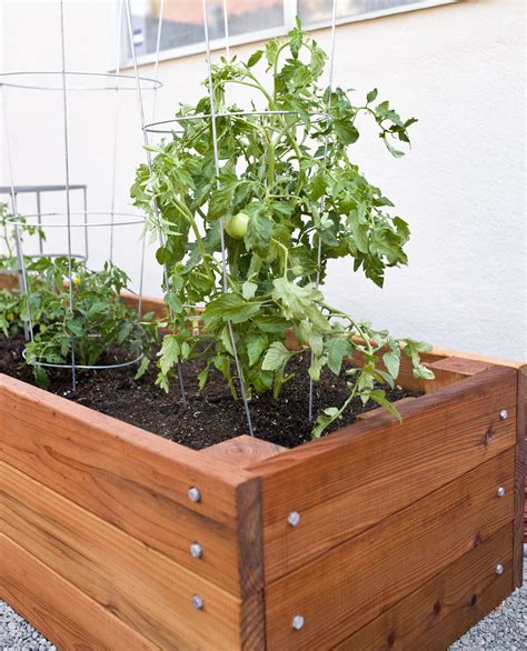 Large Redwood Planter Box For Tomatoes Garten Pflanzkästen