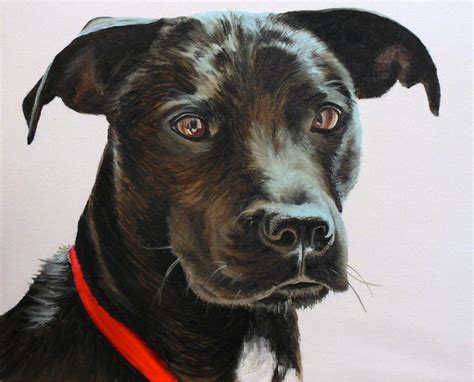 How To Paint Black Hair Animals Dog — Online Art Lessons