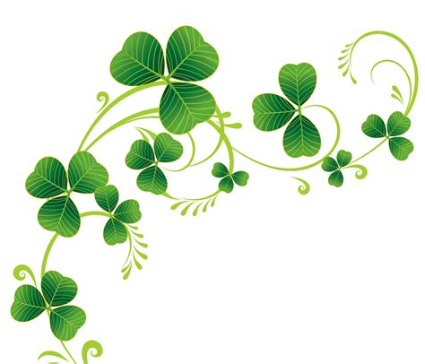 Shamrock Png Transparent Image Download Size 3000x2571px