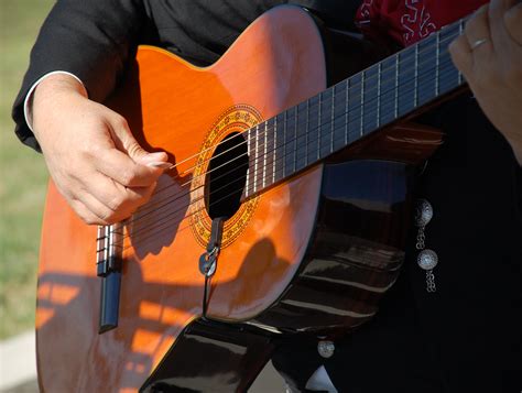 Fotos Gratis Música Guitarra Acustica Músico Instrumento Musical Méjico Bajista
