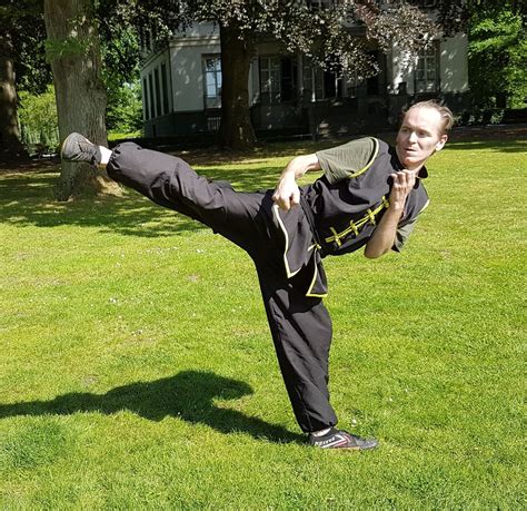learn  animal kung fu ng ying kungfu martial arts wonderhowto