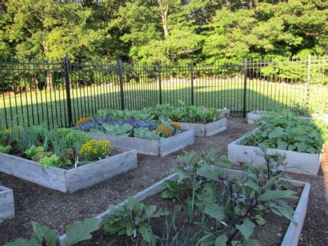 It has 65 square feet of raised bed planting space, about half what we had before. 10 best images about deer fencing ideas on Pinterest ...
