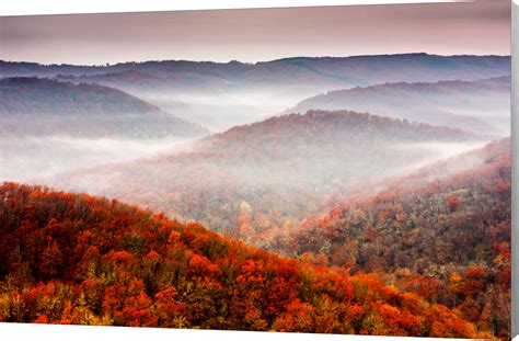 Autumn Fog | Autumn scenery, Autumn landscape, Landscape photography