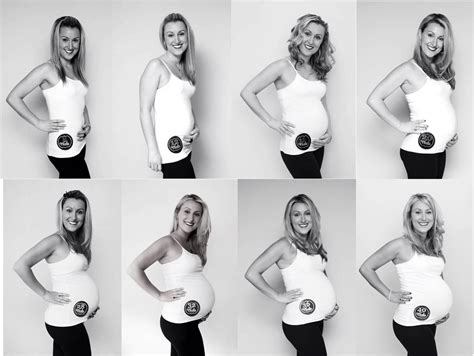 Monthly Baby Bump Pictures By Jenniferpaigephotographysj Stickers From
