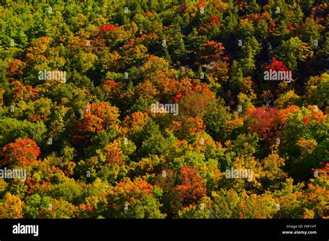 Fall Colors At John Boyd Thatcher State Park New York Usa Stock Photo