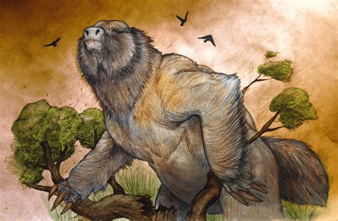 Paleontologists Find 3 58 Million Year Old Ground Sloth Fossil