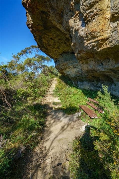 Hiking The Grand Clifftop Walk Blue Mountains Australia 6 Stock Image