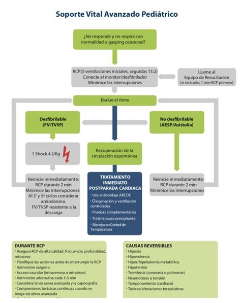 Tema 2 Soporte Vital Básico Y Soporte Vital Avanzado