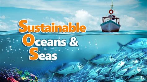 Sustainable Oceans Seas Full Video YouTube