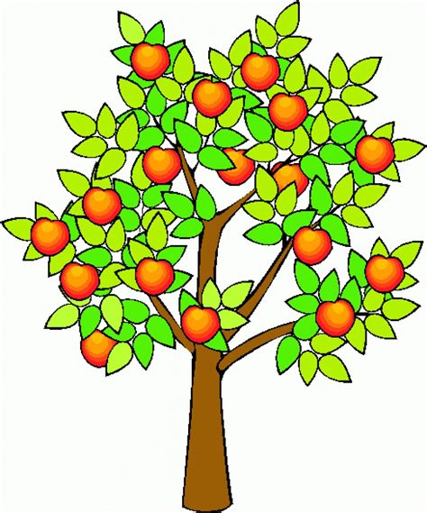 Fruit Tree Clipart 101 Clip Art
