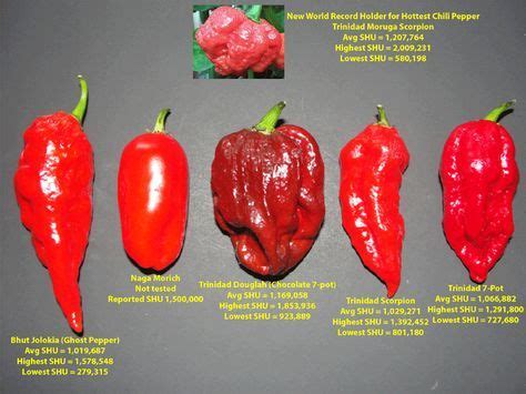 Watch Out For The Trinidad Moruga Scorpion Hottest Pepper In The World Stuffed Peppers