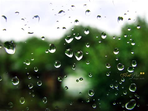 Dew Drop Rain Window Water On Glass Hd Wallpaper Wallpaper Flare