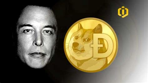 As it turns out, one of the funniest things about elon musk's snl appearance is that his favorite cryptocurrency, dogecoin, saw its value plummet on saturday night, concurrent with elon's appearance. Do You Know Elon Musk's Favorite Cryptocurrency? - Coins ...