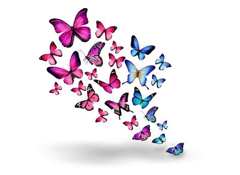 Wallpaper Blue And Purple Butterflies On White Background Background