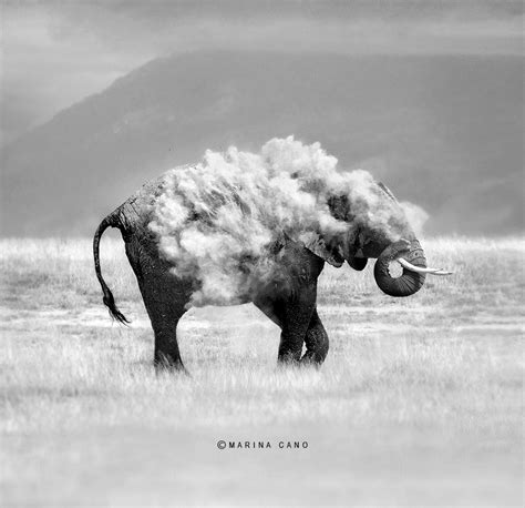 Inspirational Photography By Award Winning Wildlife