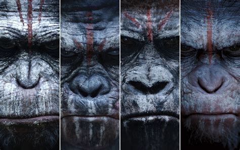 Dawn Of The Planet Of The Apes 2014 Movie Wallpaper High
