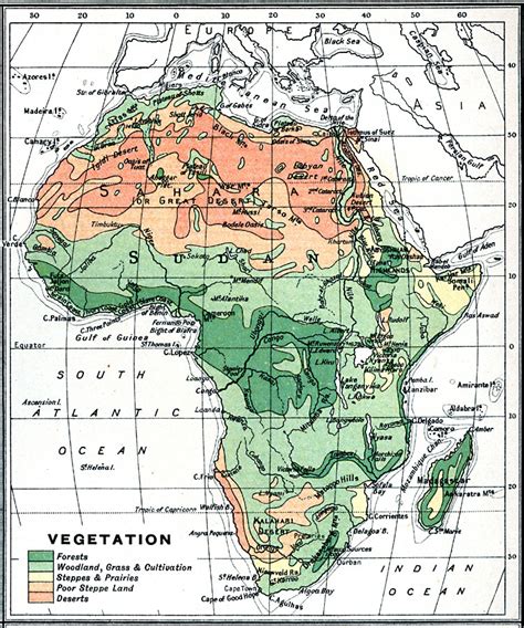 Climate change vulnerability in africa. Vegetation Map of Africa