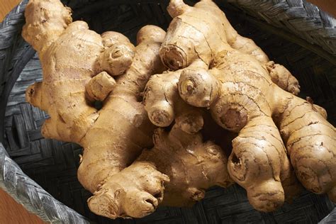 Grow Ginger Root Indoors And Use It Many Ways