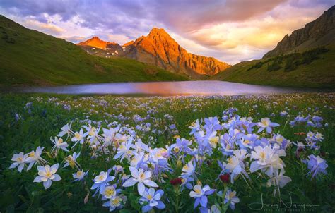 Wallpaper Flowers Mountains Nature Lake Images For