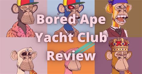 bored ape yacht club review 2023 guide