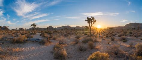 4 Activities To Try In Joshua Tree National Park