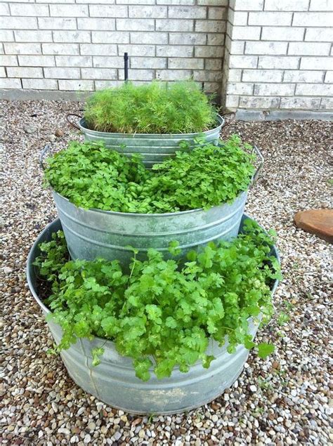 Even if you live in an apartment, condo, or living situation that doesn't come with a yard or garden space you can still cultivate your own herbs in the kitchen, a sunny window sill, or patio! garden, container gardening, gardening, landscape, My Herb ...