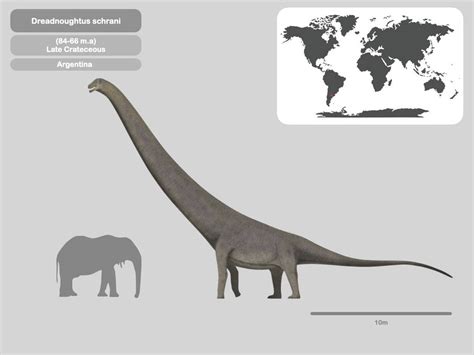 Perfil Dreadnoughtus Schrani By Paleohistoric On Deviantart