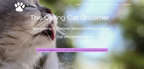 Mobile Cat Grooming With 20 Years Experience