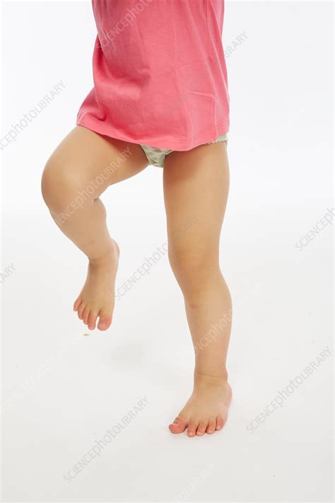 Toddlers Legs Stock Image C0532033 Science Photo Library