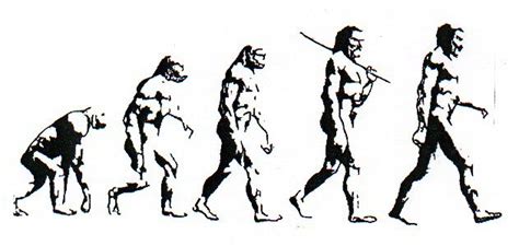 Funny Picture Clip Introduction To Human Evolution Nature The