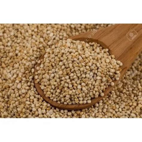 Organic Quinoa Seed Packaging Size Gm At Rs Kilogram In Jaipur