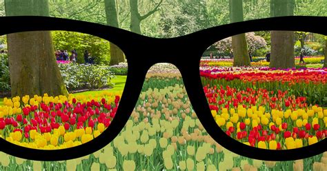 Colorblind Glasses Types Cost And How They Work