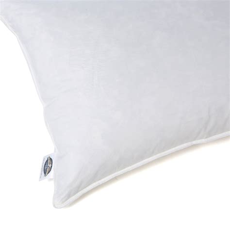Pacific Coast Feather Euro Feather Pillow And Reviews Wayfair