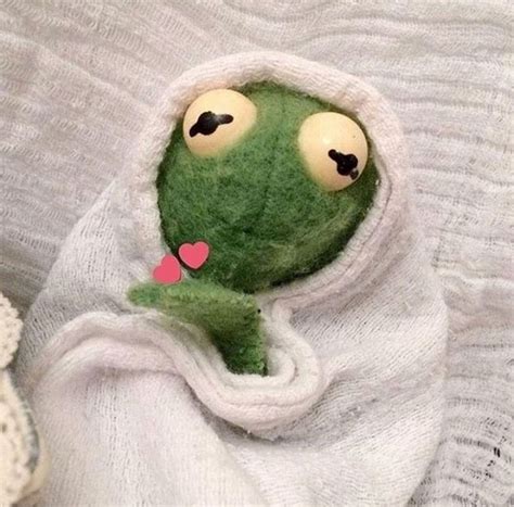 He was first introduced in 1955 by puppeteer jim henson. Pin on Reaction Pics